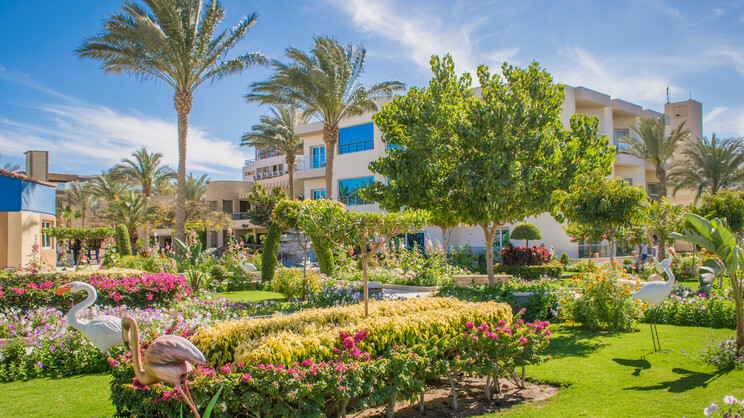 Seagull Beach Resort